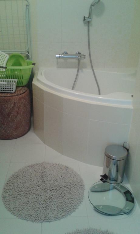 Apartman Drahovice Karlsbad Rum bild